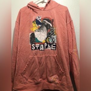 Jeff Staple Pigeon Graphic Design Hoodie Size 3XL fits like an XL